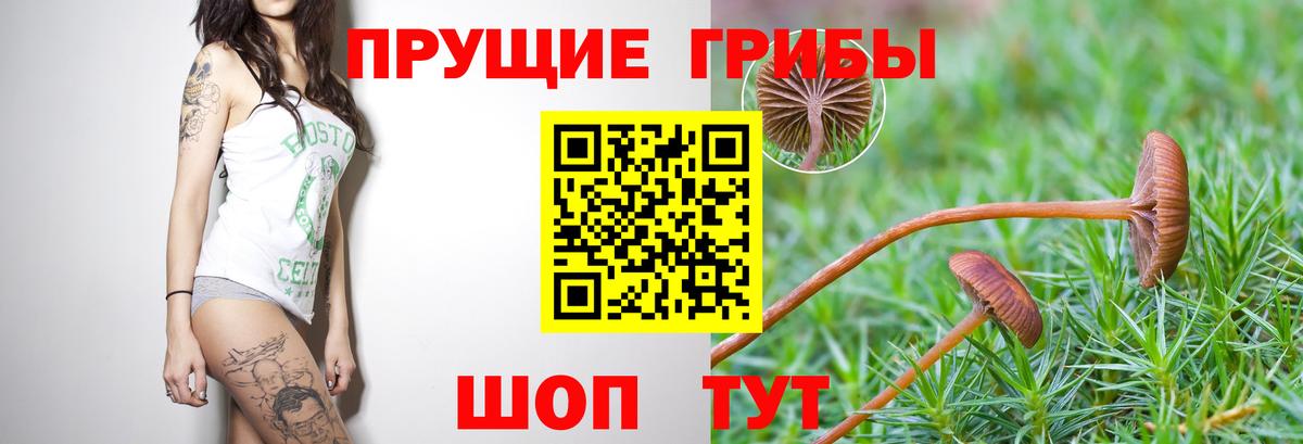 наркота  Вход с VPN  Рязань  Галлюциногенные грибы Psilocybine cubensis  Галлюциногенные грибы MAGIC MUSHROOMS 