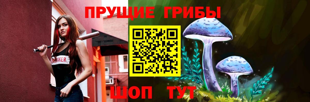 Галлюциногенные грибы Psilocybine cubensis Рязань